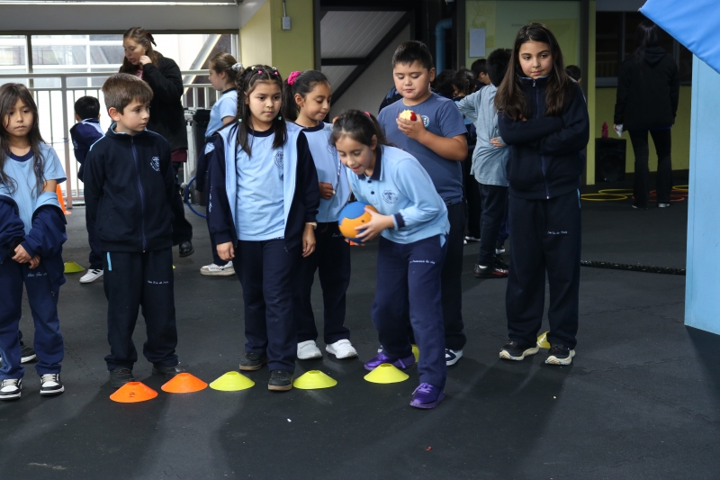 Día de la Actividad Física